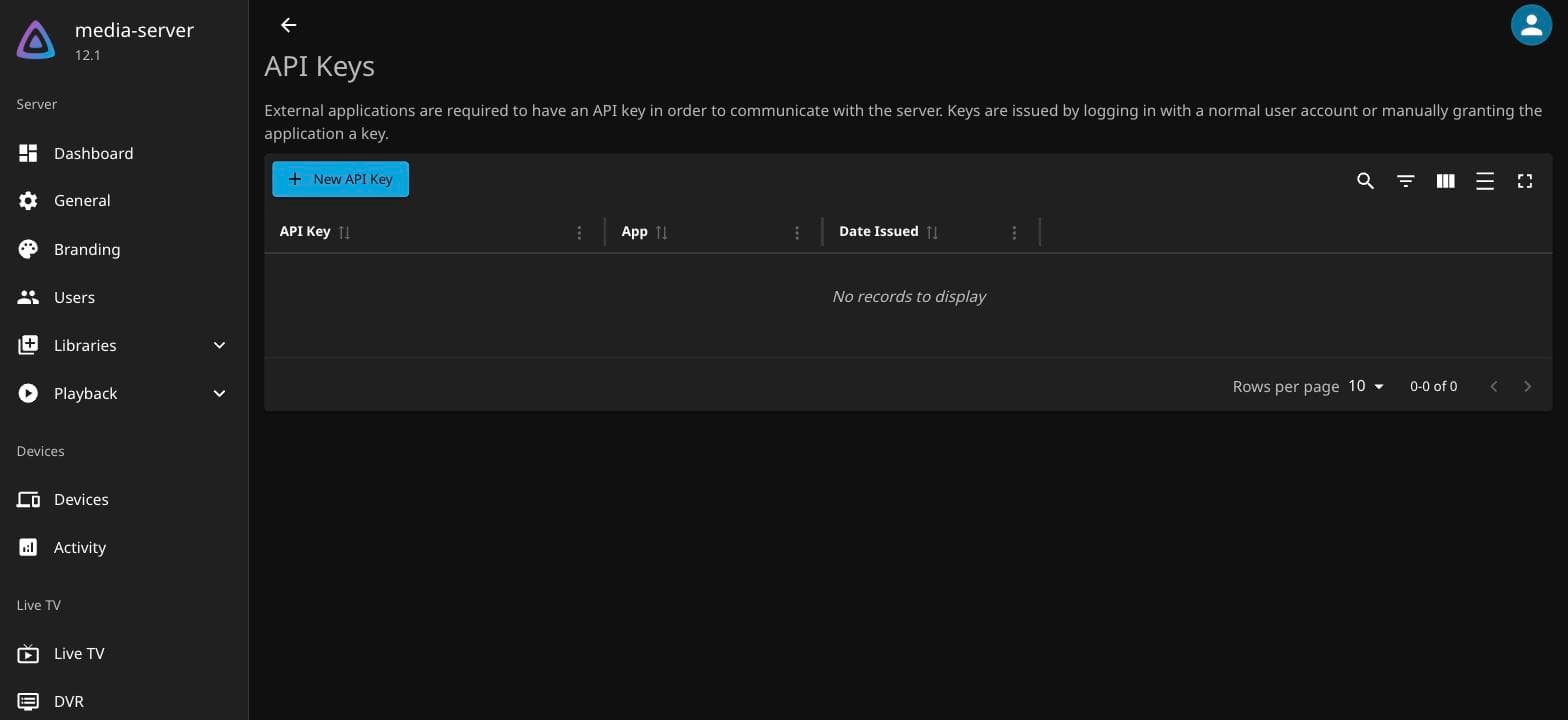 Jellyfin dashboard API Keys page with an empty table and a New API Key button